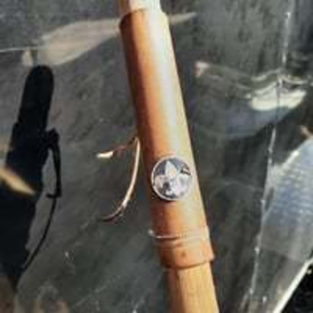 Leather grip emblem walking stick